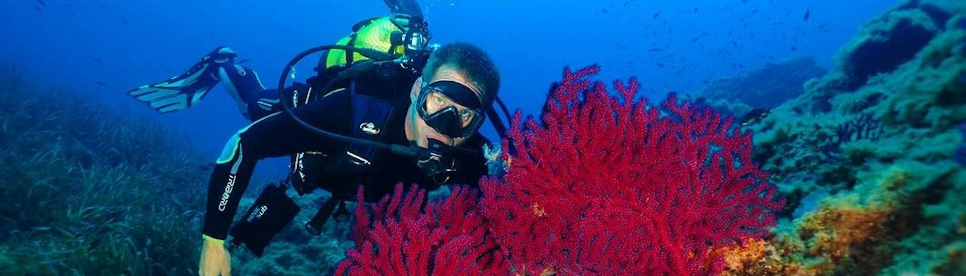 Un moniteur montre les beautés sous-marines à un touriste pour sa plongée d'essai au Lion de Mer avec Aventure Sous-Marine Saint-Raphaël.