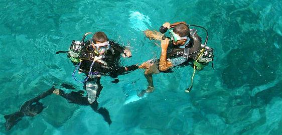 Trial Scuba Diving In Reserve Cousteau In Guadeloupe From 41 Checkyeti