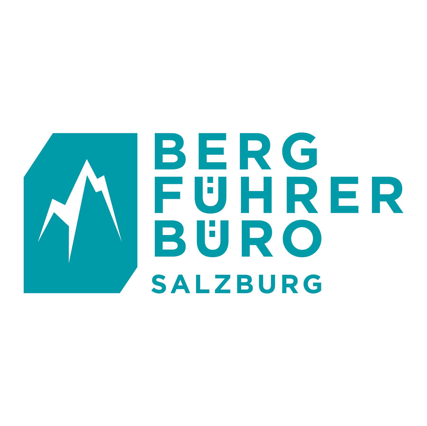 Bergführer Salzburg
