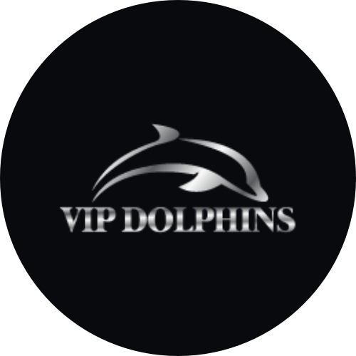 VIP Dolphins Madeira VIP Dolphins Madeira