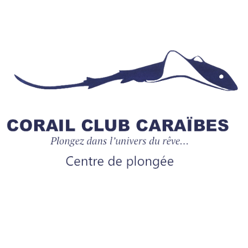 Corail Club Caraibes Martinique Corail Club Caraibes Martinique