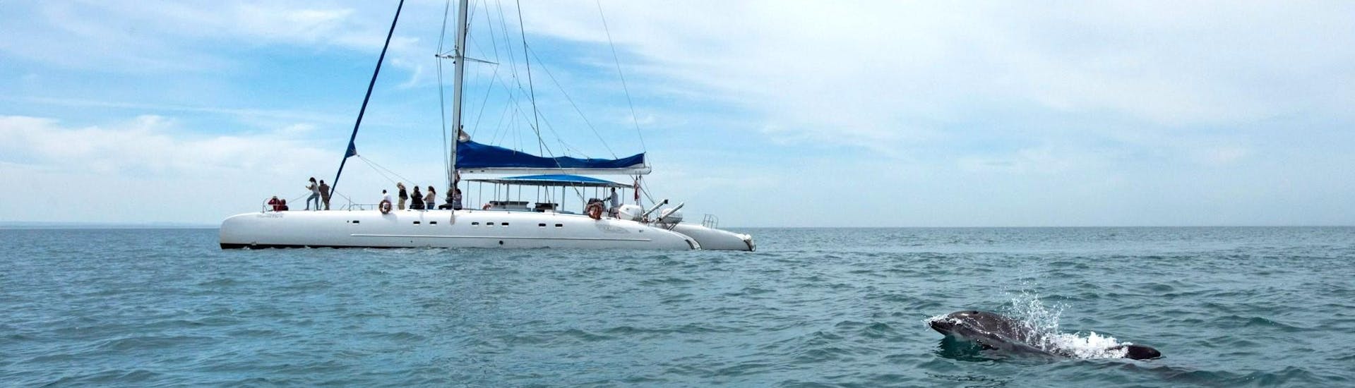 The catamaran of Vertigem Azul navigating in the Sado river.