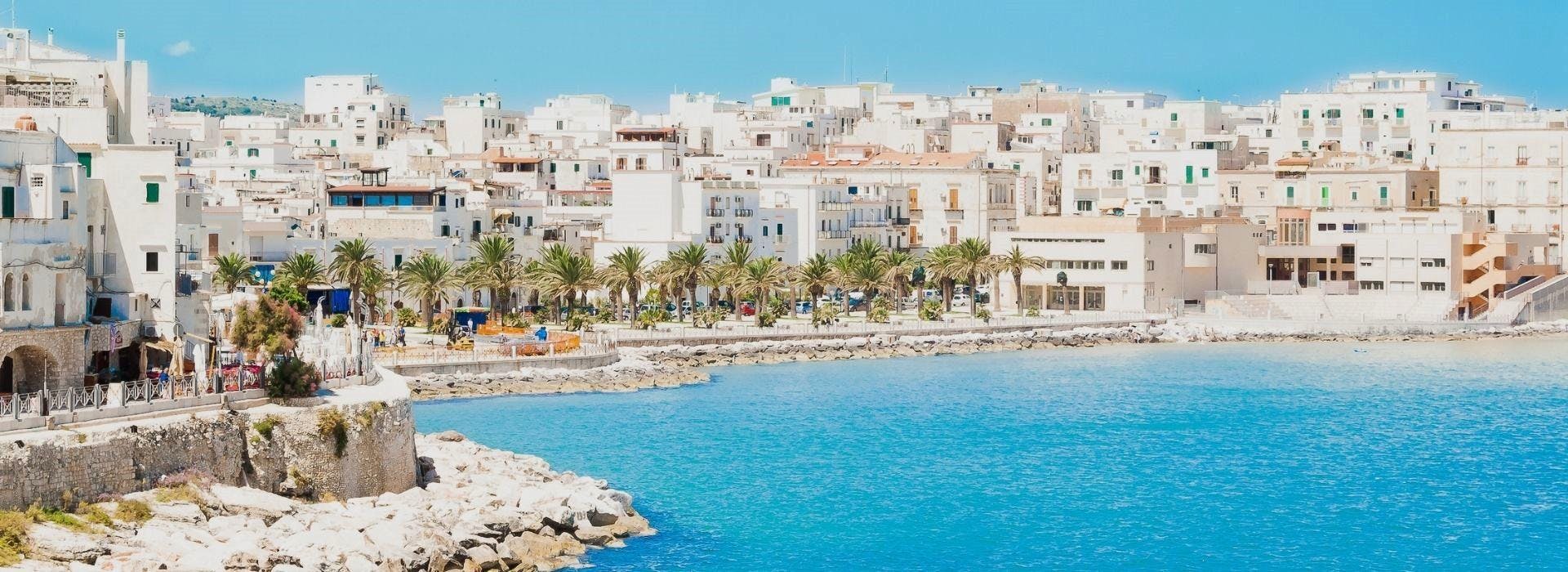 Gargano Viaggi Vieste View of Vieste during boat trip from Gargano Viaggi Vieste.