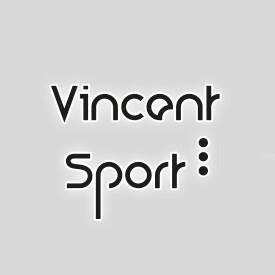 Skiverhuur Vincent Sport Châtel logo