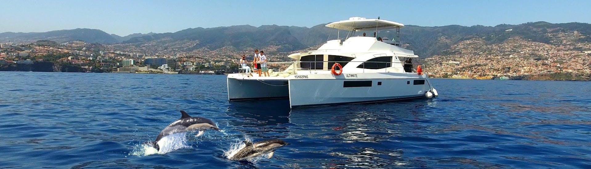 People watching dolphins from the boat of VIP Dolphins Madeira.