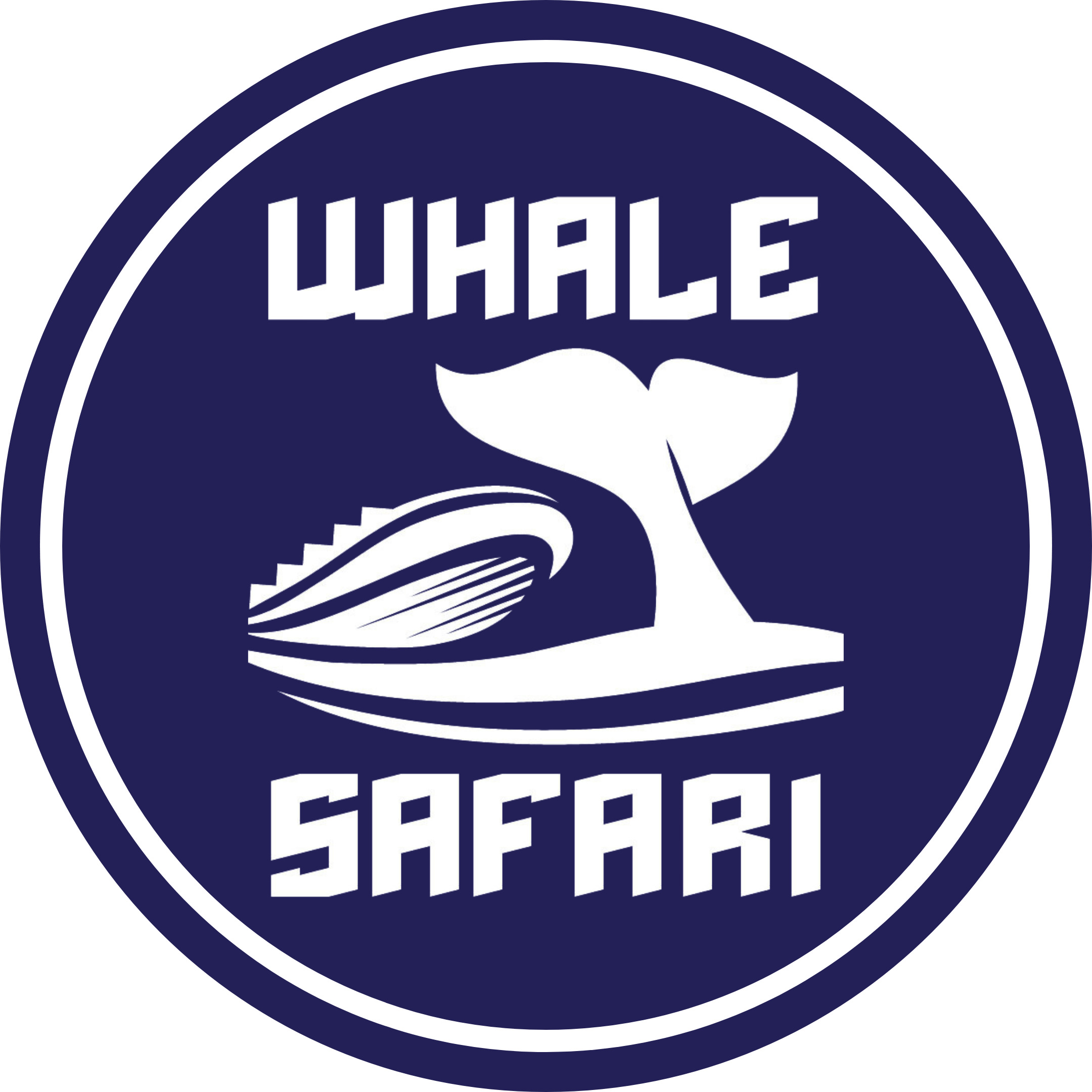 Whale Safari Iceland Whale Safari Iceland
