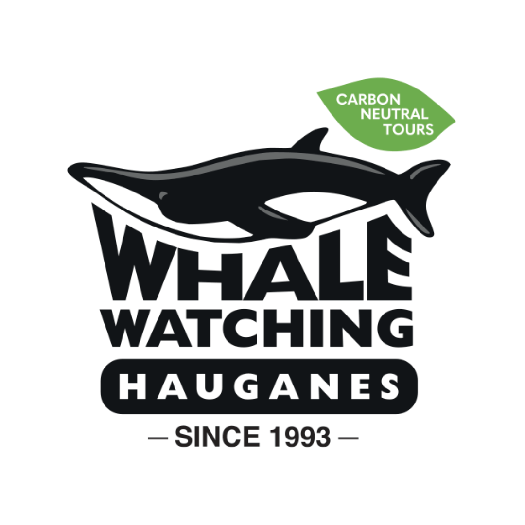 Whale Watching Hauganes Whale Watching Hauganes