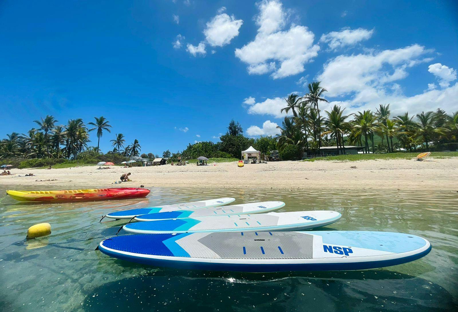 Ecole de Surf de la Réunion  Photo of three surf boards from Ecole de Surf de la Réunion lined up on the shore.