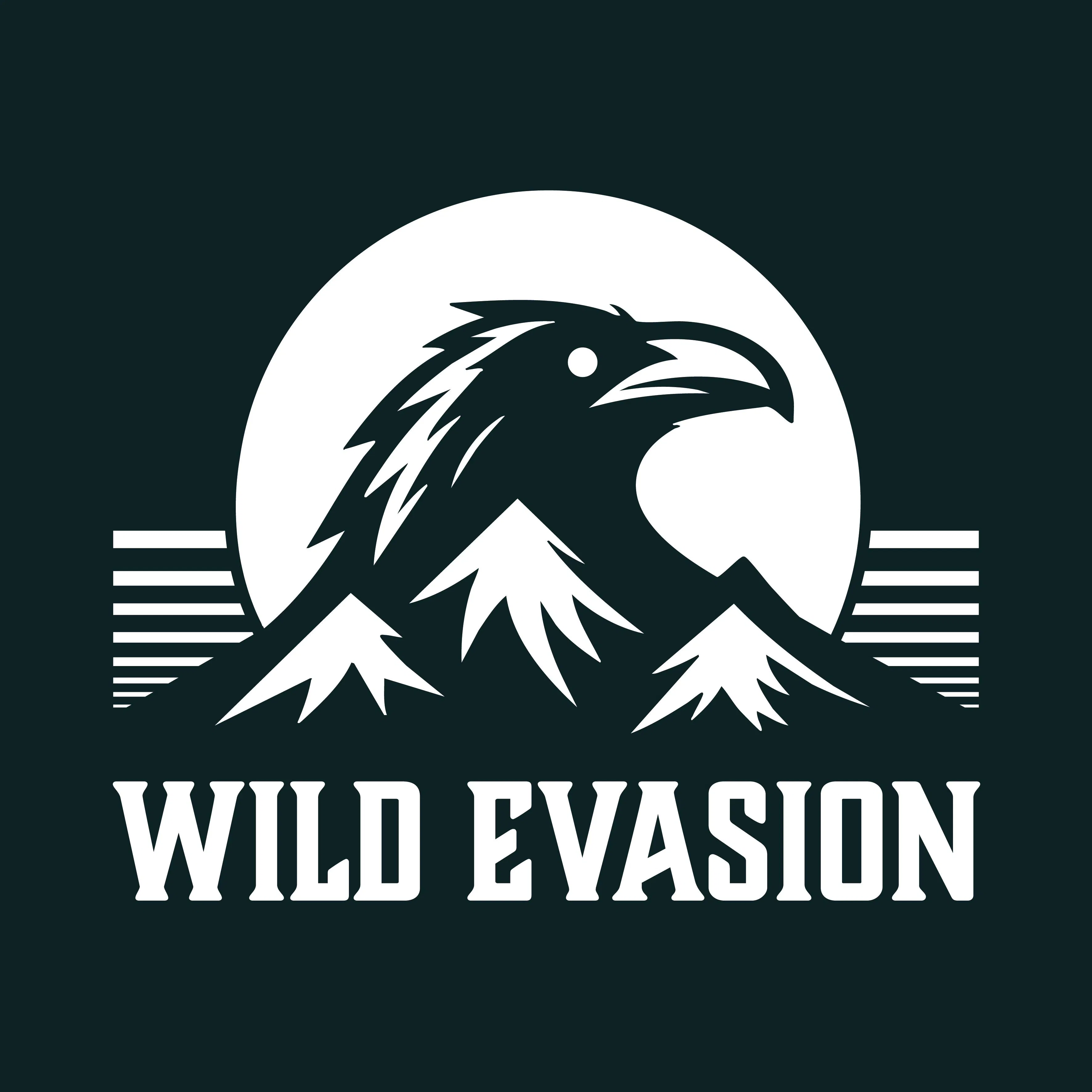 Ski Rental Skiset Wild Evasion