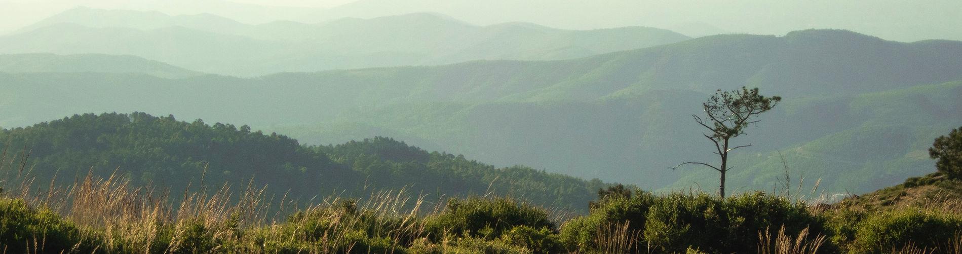 Paesaggio incantevole che puoi vedere con i tour di WILDIT Tours Porto.