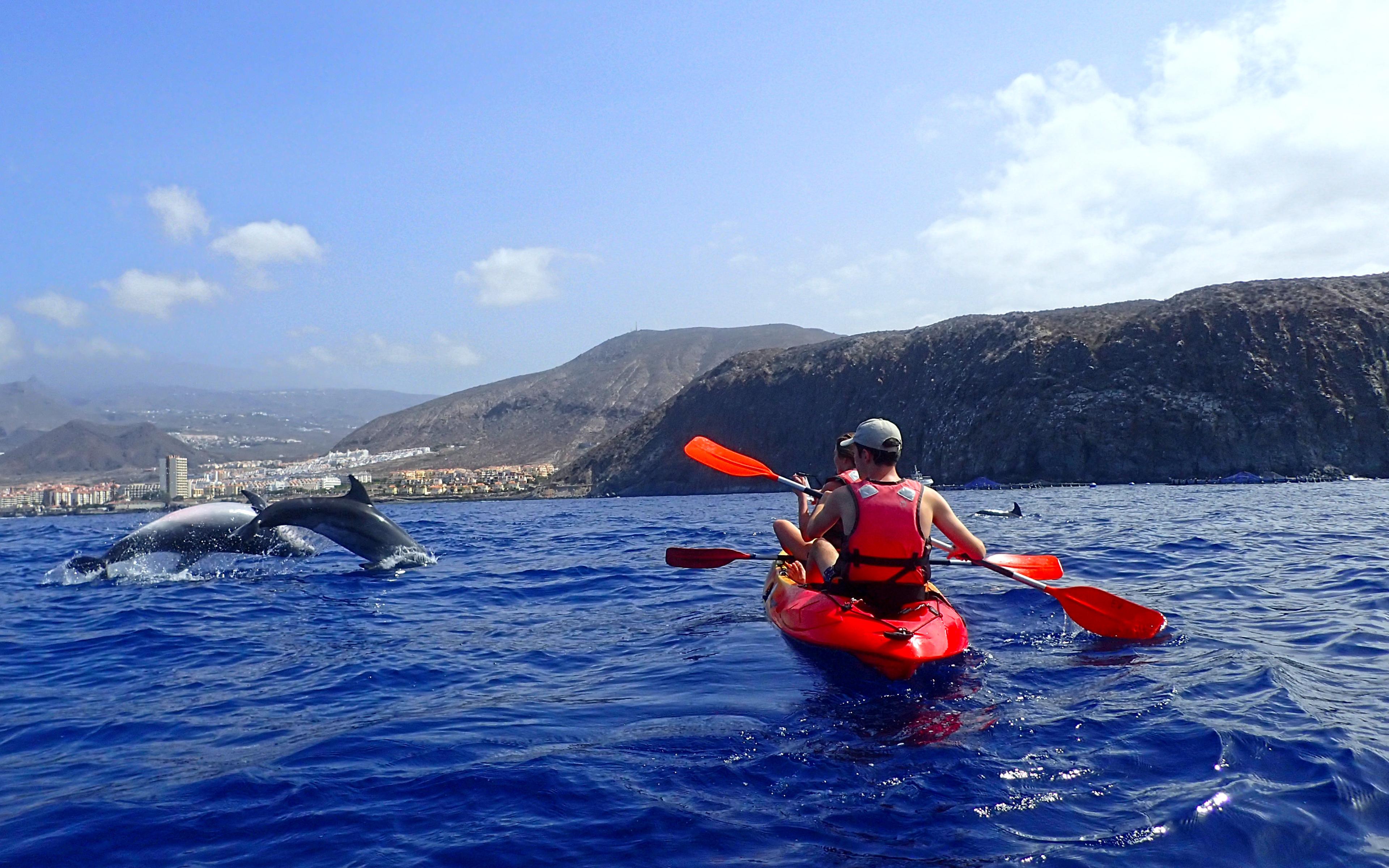 Quelques personnes en kayak à Tenerife.