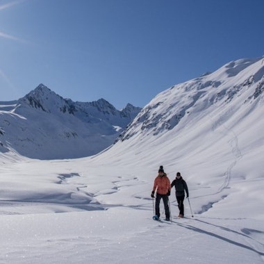 Snowshoeing Tours for All Levels