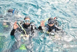 Guided Dives in Premantura Zone I for Certified Divers from Dive Center Scuba Libre Premantura.