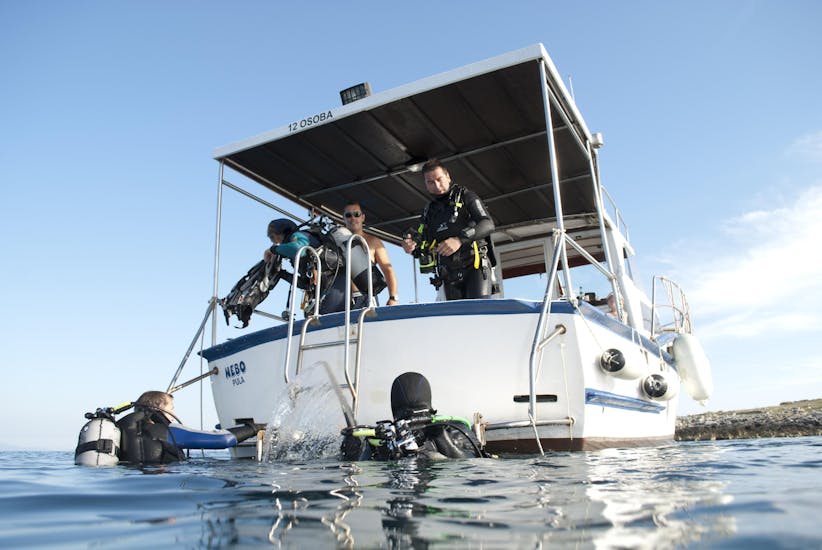 Guided Dives in Premantura Zone I for Certified Divers.