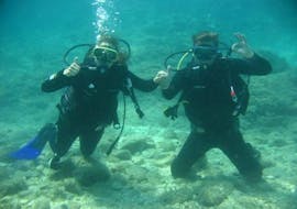 Begeleide Scuba Duiktochten in Premantura voor gecertificeerde duikers met Dive Center Scuba Libre Premantura.