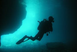 Coast Diving in Premantura for Certified Divers from Dive Center Scuba Libre Premantura.