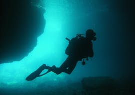 Küstentauchen in Premantura für zertifizierte Taucher mit Dive Center Scuba Libre Premantura.
