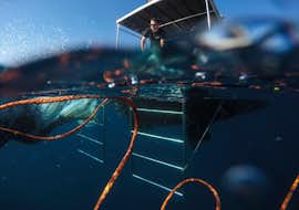 Bautismo de buceo en Premantura para principiantes con Dive Center Scuba Libre Premantura Bautismo de buceo en Premantura para principiantes con Dive Center Scuba Libre Premantura.