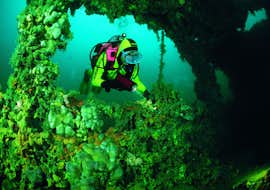 Guided Wreck Dive from Vrsar for Certified Divers from Starfish Diving Center Vrsar Guided Wreck Dive from Vrsar for Certified Divers from Starfish Diving Center Vrsar.