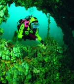 Guided Wreck Dive from Vrsar for Certified Divers from Starfish Diving Center Vrsar.