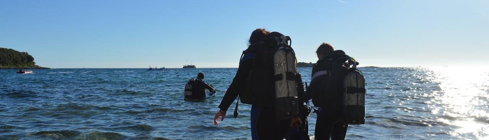 PADI Scuba Review Course in Vrsar for Certified Divers with Starfish Diving Center Vrsar - Hero image