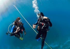 PADI Open Water Diver Course in Vrsar for Beginners with Starfish Diving Center Vrsar