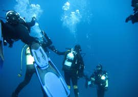 Curso de buceo (PADI) en Vrsar para buceadores certificados con Starfish Diving Center Vrsar Curso de buceo (PADI) en Vrsar para buceadores certificados con Starfish Diving Center Vrsar.