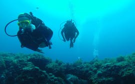 Deux personnes plongent pendant le cours SSI Junior Open Water Diver à Rovinj (10-14 ans) avec le Rovinj Sub Diving Center.