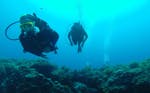 Deux personnes plongent pendant le cours SSI Junior Open Water Diver à Rovinj (10-14 ans) avec le Rovinj Sub Diving Center.