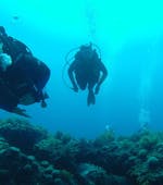Dos personas buceando durante el curso SSI Junior Open Water Diver en Rovinj (10-14 años) con Rovinj Sub Diving Center.