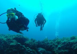 Formation de plongée à Rovinj pour Débutants avec Rovinj Sub Diving Center