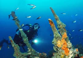 Corso SSI Advanced Open Water Diver a Rovigno con il Rovinj Sub Diving Center. Un subacqueo che nuota tra i coralli durante il corso SSI Advanced Open Water Diver a Rovigno con il Rovinj Sub Diving Center.