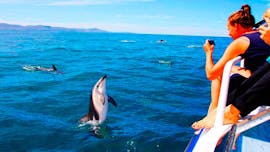 Een vrouw maakt een foto tijdens de boottocht bij zonsondergang van Pula naar Brijuni met dolfijnen spotten georganiseerd door Korkyra Tour Pula.