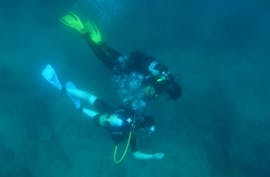 Deux plongeurs nageant lors d'un essai de plongée sous-marine pour débutants à Rovinj avec le Rovinj Sub Diving Center.