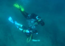 Baptême de plongée privé à Rovinj pour Débutants avec Rovinj Sub Diving Center