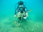 Discover Scuba Diving in Pula from Orca Diving Center Pula.