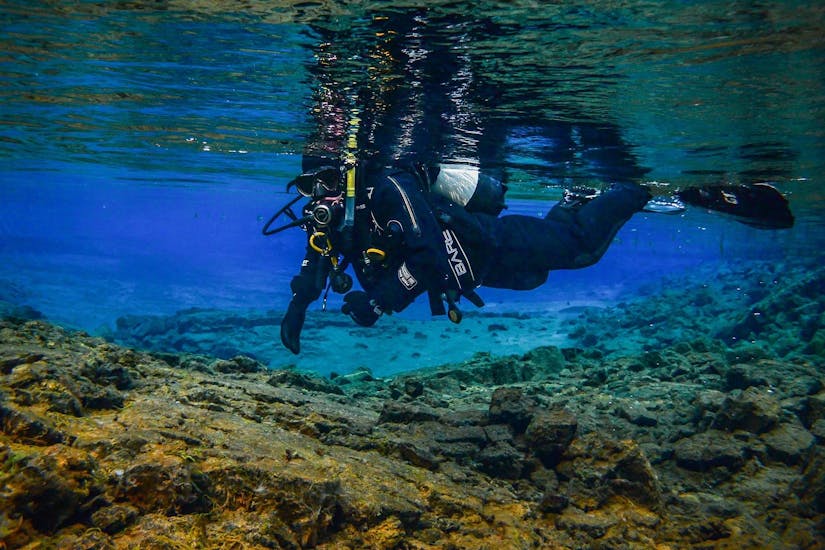 A person diving during the Trial Scuba Diving in Medulin with Diving Center Shark Medulin.