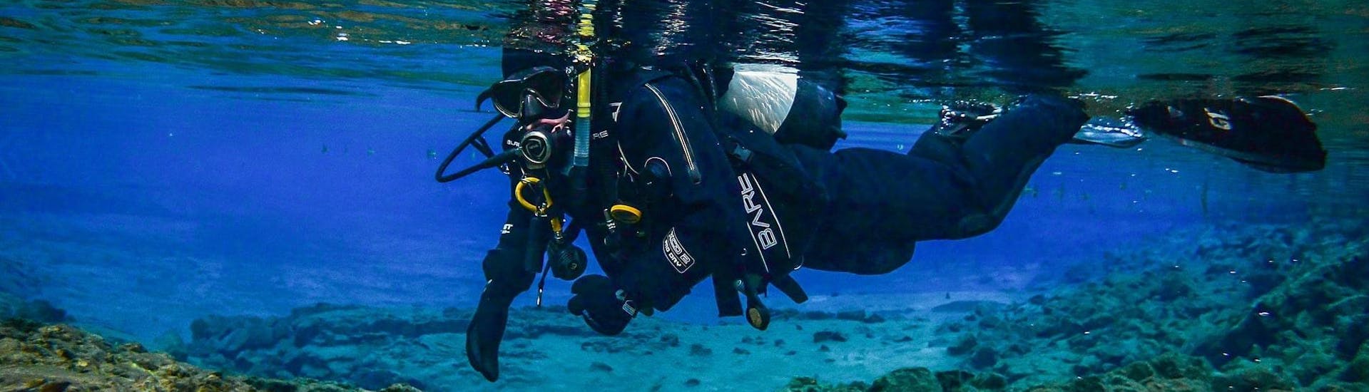 Een persoon die duikt tijdens PADI Discover Scuba Diving in Medulin met Diving Center Shark Medulin.