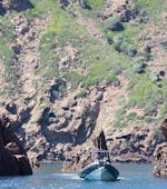 Un gruppo si sta godendo il giro in barca a Golfo di Porto - Tour Completo con Avventu Event's.