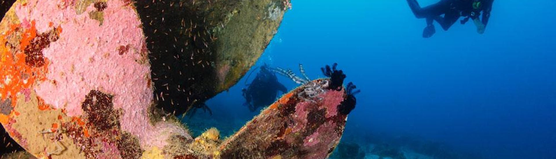 Wreck Diving in Kvarner Bay for Certified Divers with Dive Center Krk - Hero image