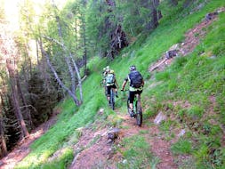 Due ciclisti nella foresta durante il Tour intermedio di Mountain Bike Downhill in Val di Sole.