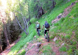 Twee fietsers in het bos tijdens de downhill mountain bike tour in Val di Sole voor gemiddelde.