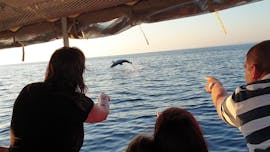 Boottocht bij Zonsondergang van Pula rondom Brijuni met Dolfijnen Spotten met Pula Boat Excursions.