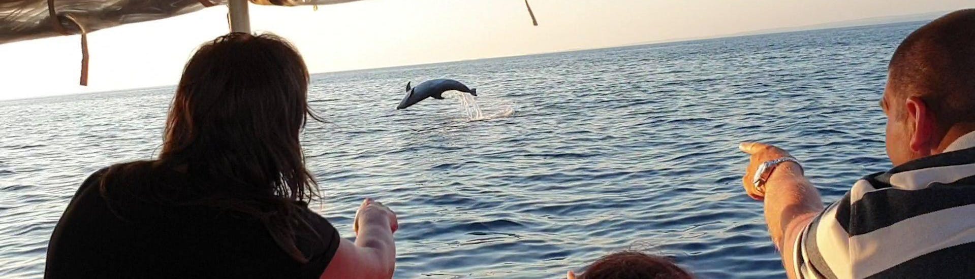 Sunset Boat Trip from Pula to Brijuni with Dolphin Searching with Pula Boat Excursions - Hero image