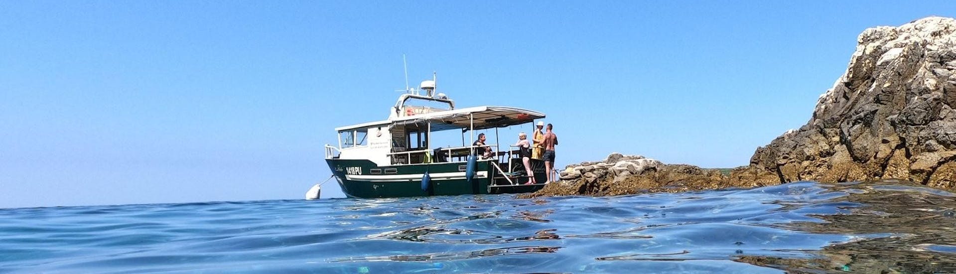 Private Boat Trip from Pula (up to 12 people) with Pula Boat Excursions - Hero image