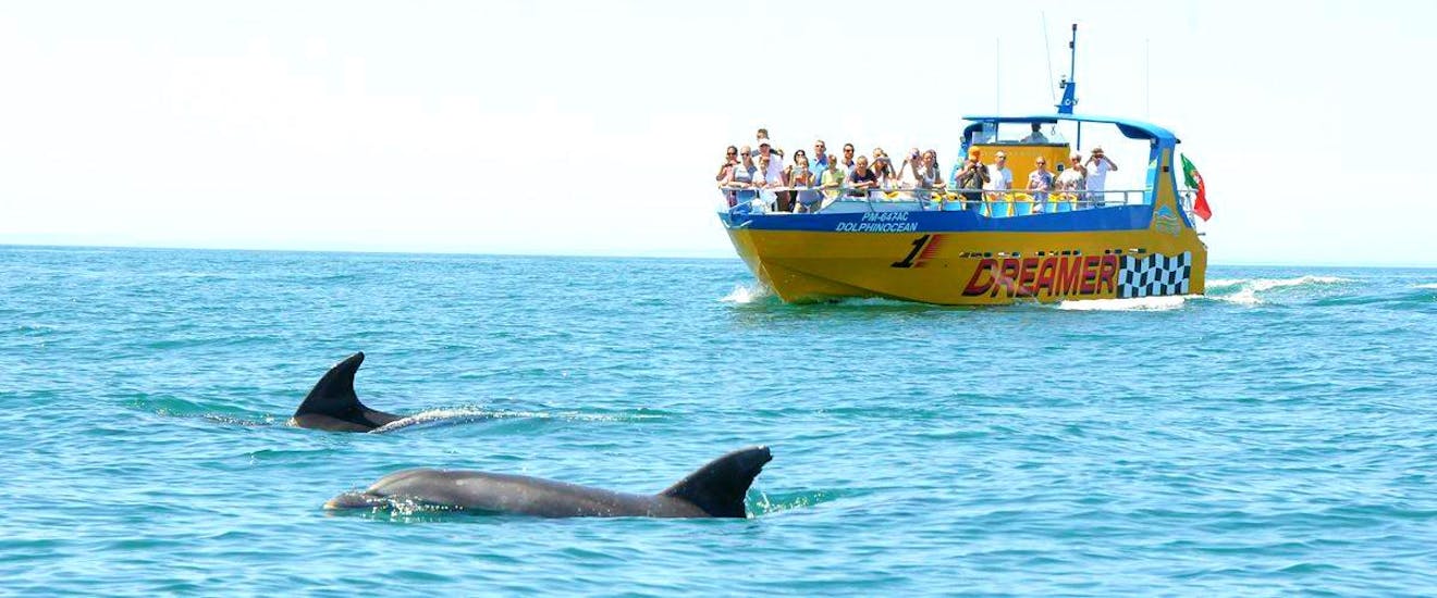 Un grupo de vacacionistas disfruta de la fascinante vista de los delfines saltando junto a su barco en su paseo en barco "Cuevas y Delfines en el Dreamer" en la hermosa costa de Albufeira junto con el equipo de Dream Wave.