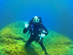 Scuba Diver genießt das Schnuppertauchen im Golfe d'Ajaccio an Korsikas Westküste mitMaeva Plongée Porticcio.