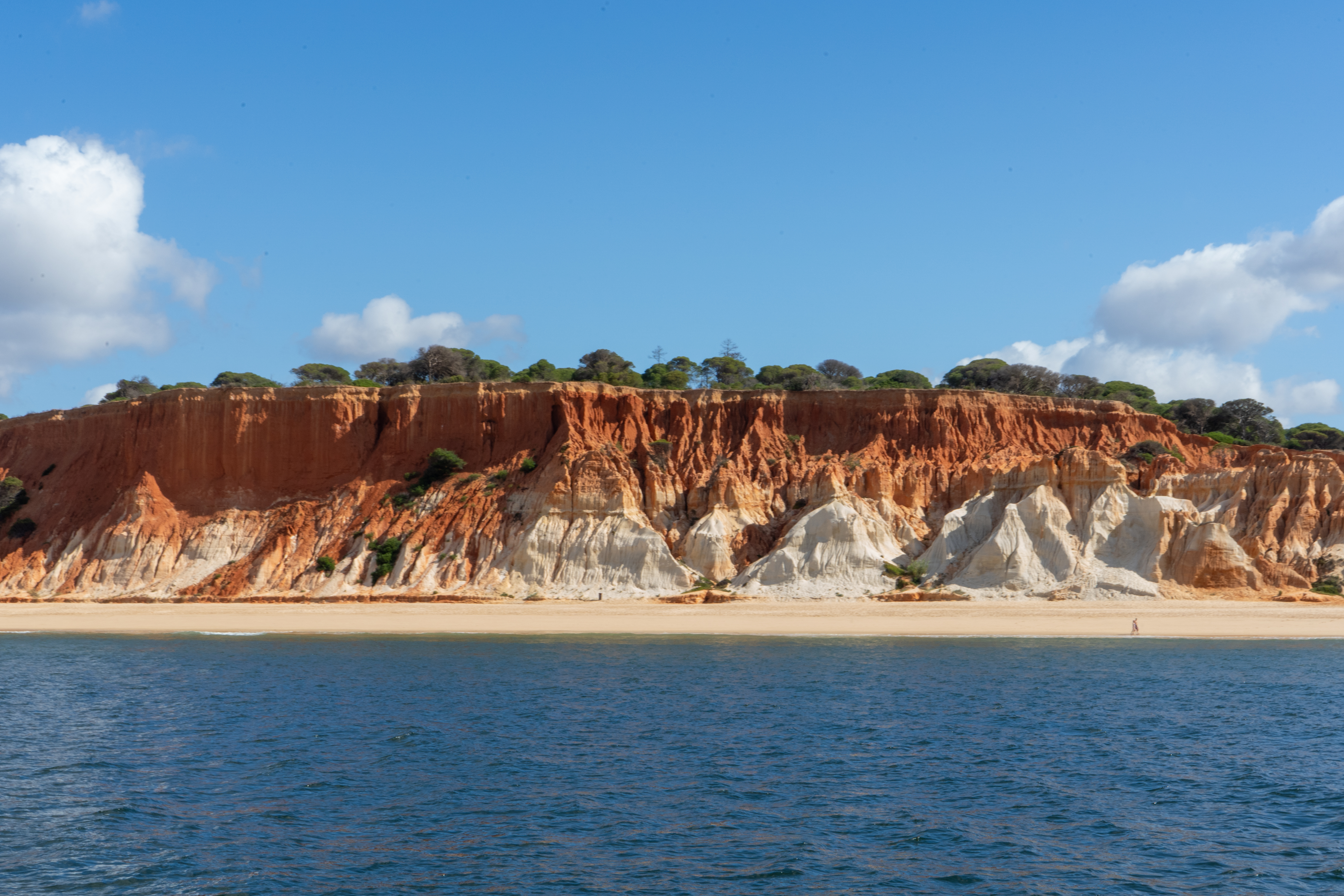 Vista mozzafiato delle scogliere rosse e bianche e della spiaggia sabbiosa dal mare durante l'escursione in barca AlgarExperience alle grotte e alla costa di Benagil, con partenza da Vilamoura.