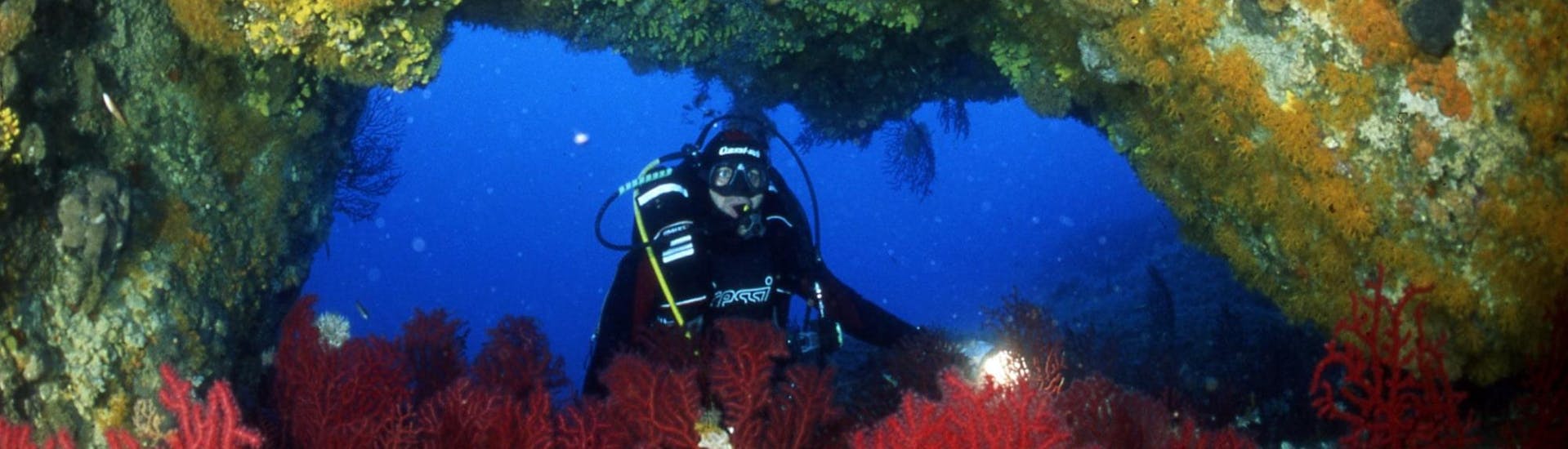 A person is posing underwater during his Scuba Diving in Îles Cerbicale for Certified Divers activity with Le Kalliste Plongée.