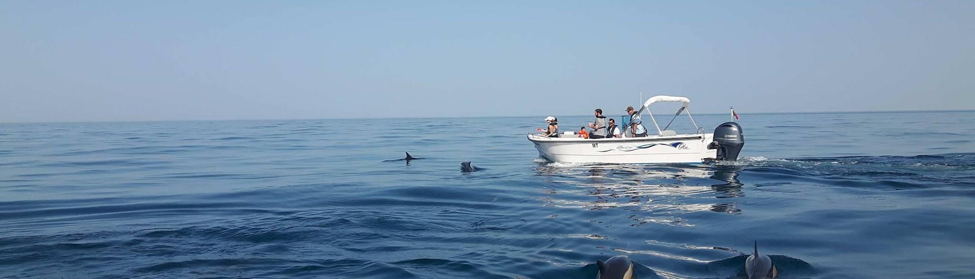 Dolfijnen spotten in Faro.